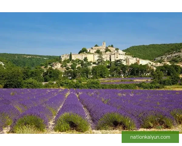 Osimhen 持续提升在意大利的适应能力，展现出良好的文化融合状态。